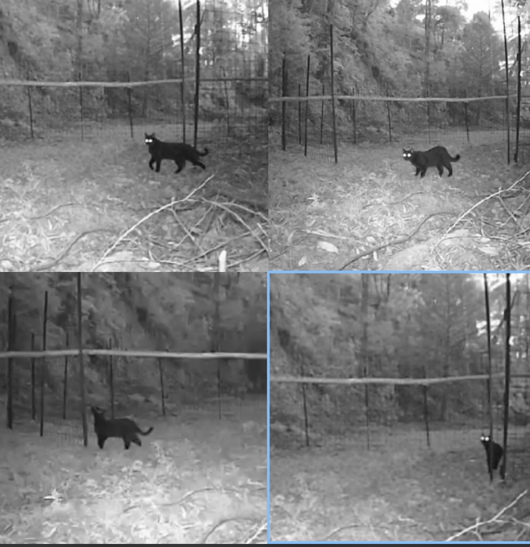 F7FBF8DA-B686-4124-91B3-8533C2522609_1_201_a